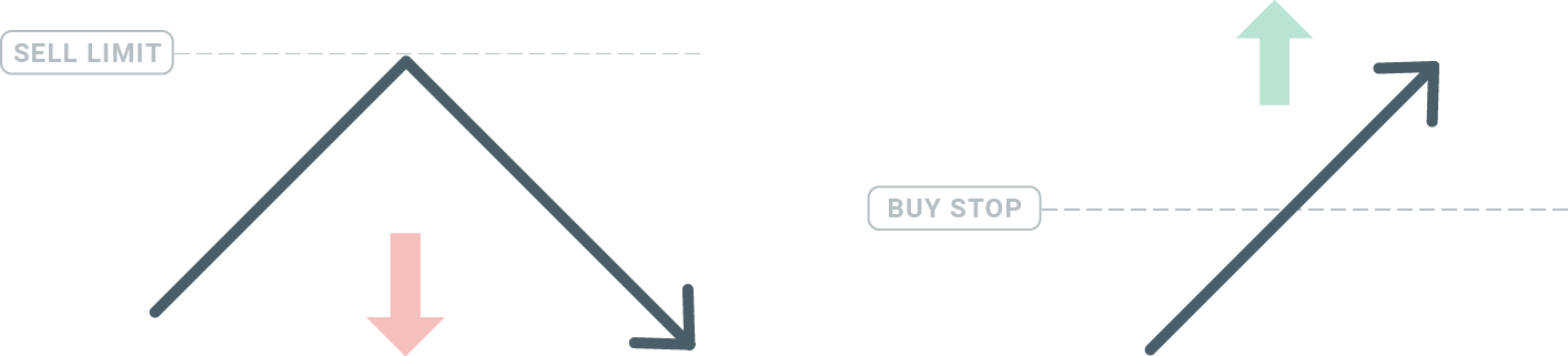 How to Register and Trade Forex at XM How to Register and Trade Forex at XM