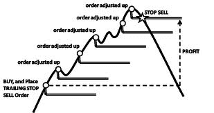 How to Register and Trade Forex at XM How to Register and Trade Forex at XM